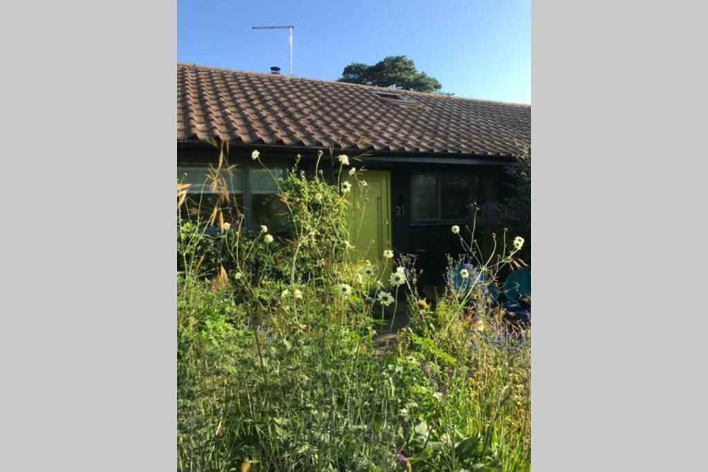The Yellow Door Whitstable - Peaceful Retreat Close To Beach Bagian luar foto